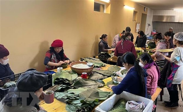 35 Jahre vietnamesisch-deutsche Arbeitszusammenarbeit - ảnh 1