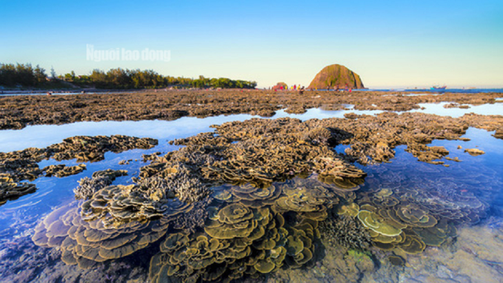 Die Schönheit der Insel Hon Yen in Phu Yen - ảnh 5