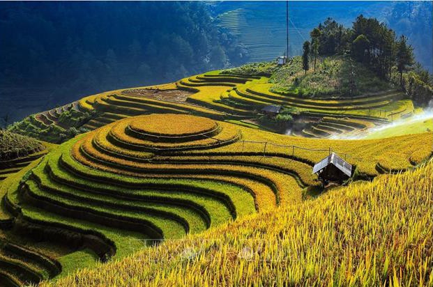 Viele einzigartige Veranstaltungen beim Festival zur Entdeckung der Terrassenfelder Mu Cang Chai - ảnh 1