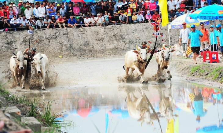 Kuhrennen-Fest Bay Nui in An Giang - ảnh 1