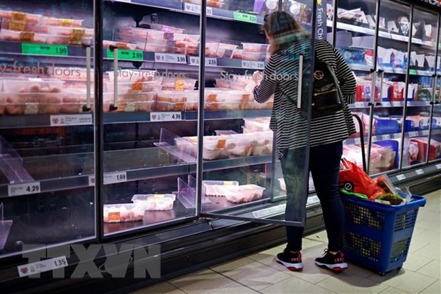 EU schlägt Notfallinstrument zur Vermeidung von Versorgungskrisen vor - ảnh 1
