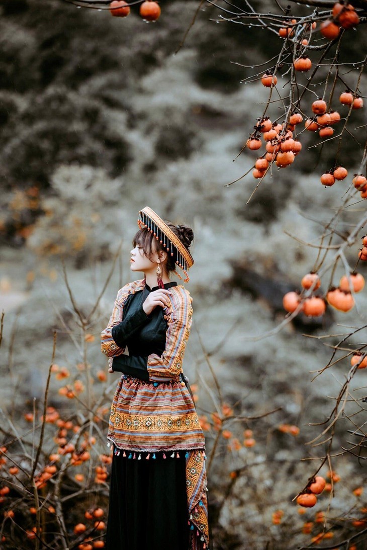 Die Kaki-Saison auf dem Moc Chau-Plateau - ảnh 9