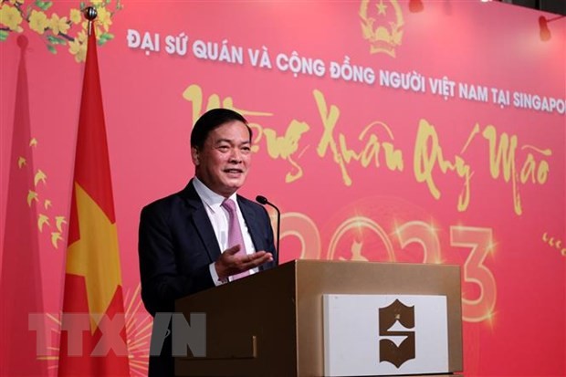 Vietnamesen in Singapur feiern das traditionelle Tetfest - ảnh 1