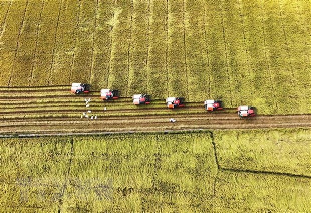 Indischer Experte schätzt Vietnams Wirtschaftswachstum positiv - ảnh 1