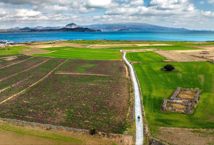Ausstellung über das Weltnaturerbe Insel Jeju in der Provinz Quang Ninh - ảnh 1