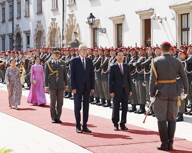 Der österreichische Präsident leitet den feierlichen Empfang für Staatspräsident Vo Van Thuong - ảnh 1