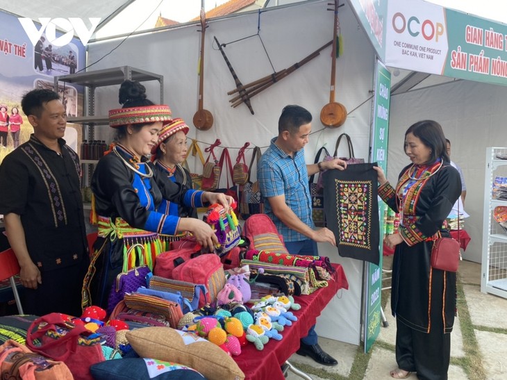 Gemeinschaftstourismus in der „Heimat der Revolution“ - ảnh 2