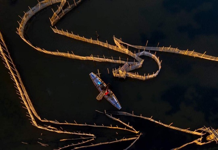 Die Schönheit der Chuon-Lagune in Hue - ảnh 7