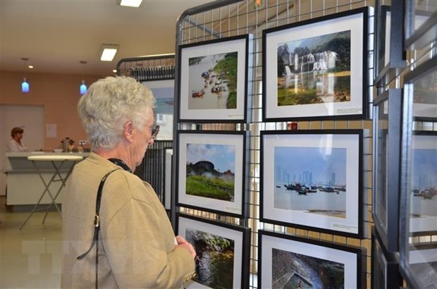 Ausstellung von Büchern, Gemälden und Fotos vietnamesischer Autoren in Frankreich - ảnh 1