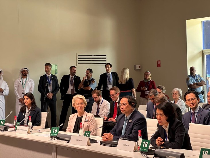 Premierminister Pham Minh Chinh: Vietnam fördert die Energiewende mit einem entsprechenden Fahrplan - ảnh 1