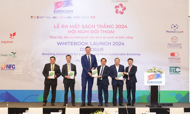 EU verpflichtet sich zu nachhaltigen Investitionen in Vietnam - ảnh 1