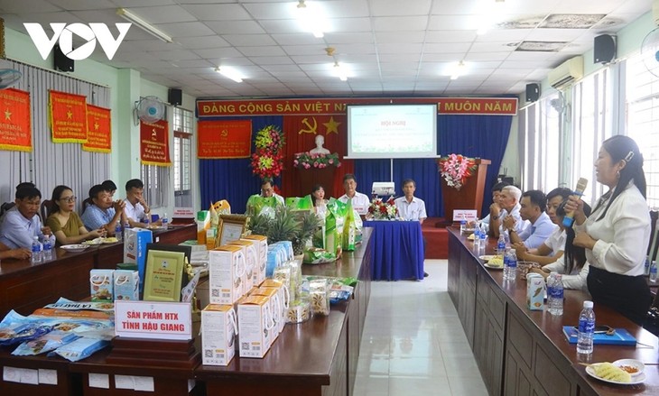 OCOP-Produkte fördern Wirtschaft in ländlichen Gebieten in Hau Giang - ảnh 1