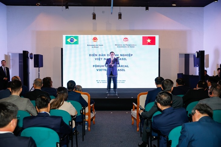 Premierminister Pham Minh Chinh nimmt am Unternehmensforum zwischen Vietnam und Brasilien teil - ảnh 1