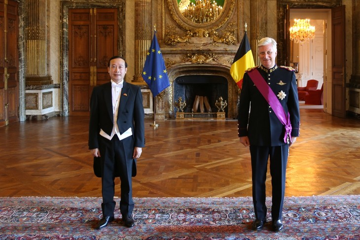 Der Besuch des belgischen Königs in Vietnam eröffnet neue Kooperationsmöglichkeiten  - ảnh 1