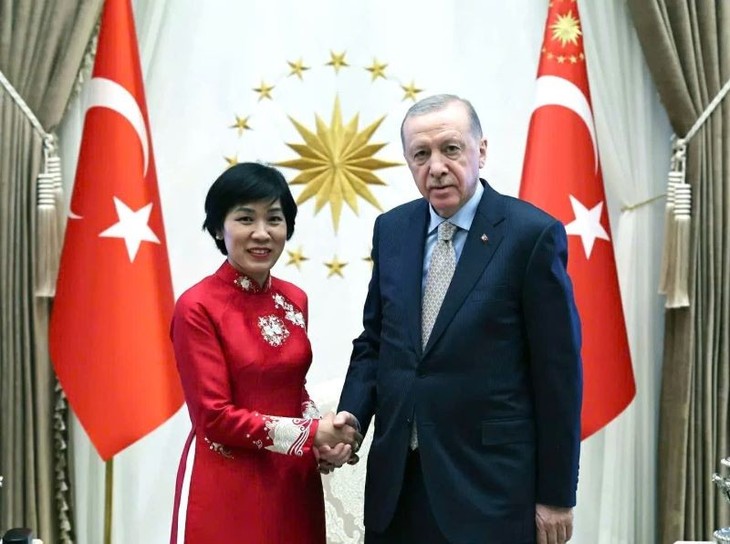 Förderung der Beziehungen zwischen Vietnam und der Türkei - ảnh 1