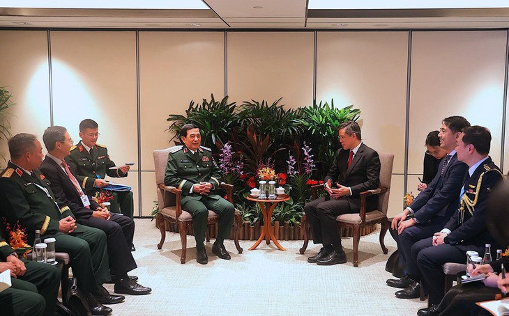 Shangri-La-Dialog 2025: Verteidigungsminister Phan Van Giang trifft Verteidigungsminister von Singapur und der USA - ảnh 1