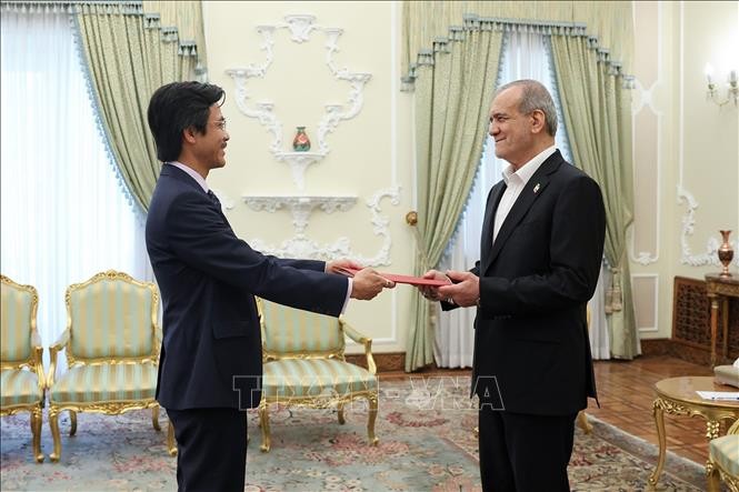 Iran will die Zusammenarbeit mit Vietnam in vielen Bereichen stärken - ảnh 1