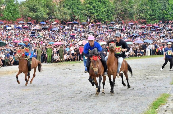 Traditionelles Pferderennen auf dem Weißen Plateau von Bac Ha - ảnh 1