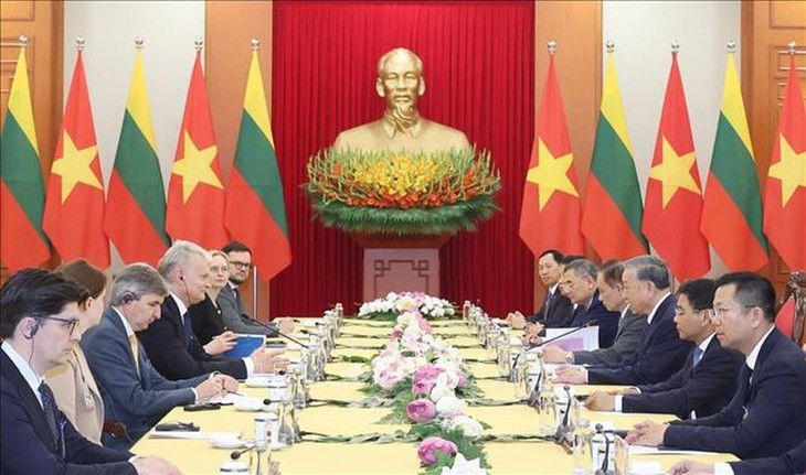 Staatspräsident Luong Cuong führt Gespräch mit dem litauischen Präsidenten Gitanas Nauseda - ảnh 2