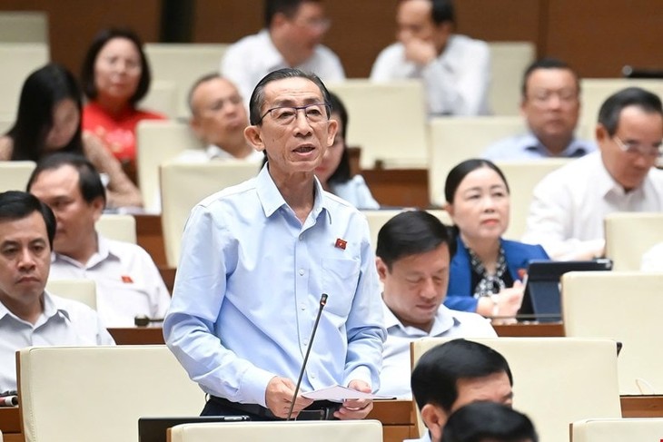 Das Parlament diskutiert Wirtschafts- und Gesellschaftslage - ảnh 2