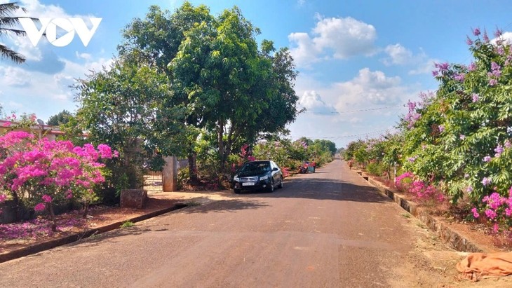 Dorf O Ngol – Vorbild für Dörfer neuen Stils der ethnischen Minderheiten in Gia Lai - ảnh 1