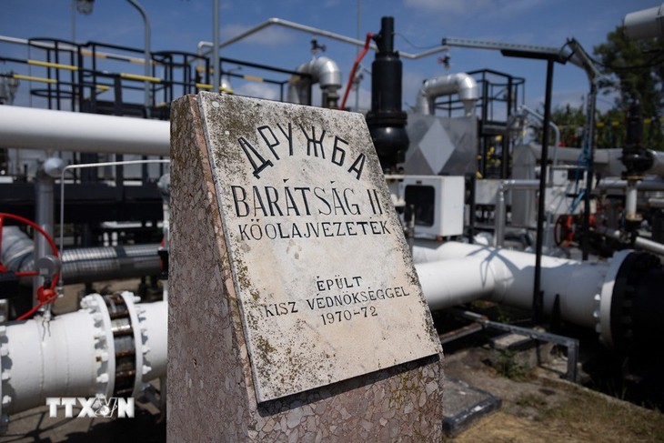 Slowakei und Ungarn fordern die Gewährleistung der Ölversorgung über die Druschba-Pipeline  - ảnh 1