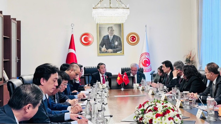 Vize-Parlamentspräsident Nguyen Duc Hai besucht die Türkei - ảnh 1