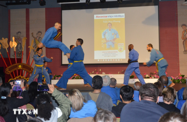 Vovinam-Kampfkunst wird zum „Kulturbotschafter” in Europa - ảnh 1