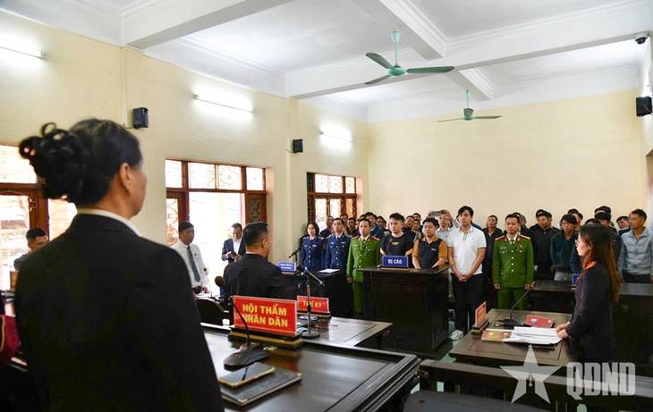 Da Nang und Hai Phong verstärken die Aufklärungsarbeit zur Bekämpfung der IUU-Fischerei - ảnh 2