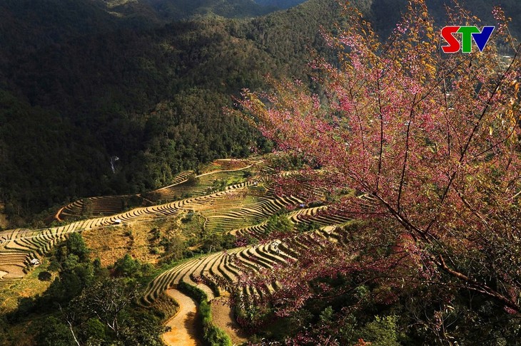 Ankündigung des Laufwettbewerbs in Son La - ảnh 1