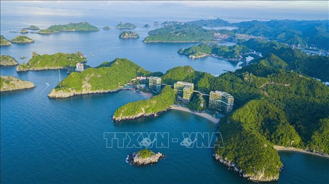 Wildes Vietnam – die geheimnisvolle Schönheit der Natur - ảnh 1