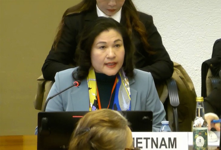 Vietnam verteidigt erfolgreich seinen 9. Nationalen Bericht über die Umsetzung der Frauenrechtskonvention - ảnh 1