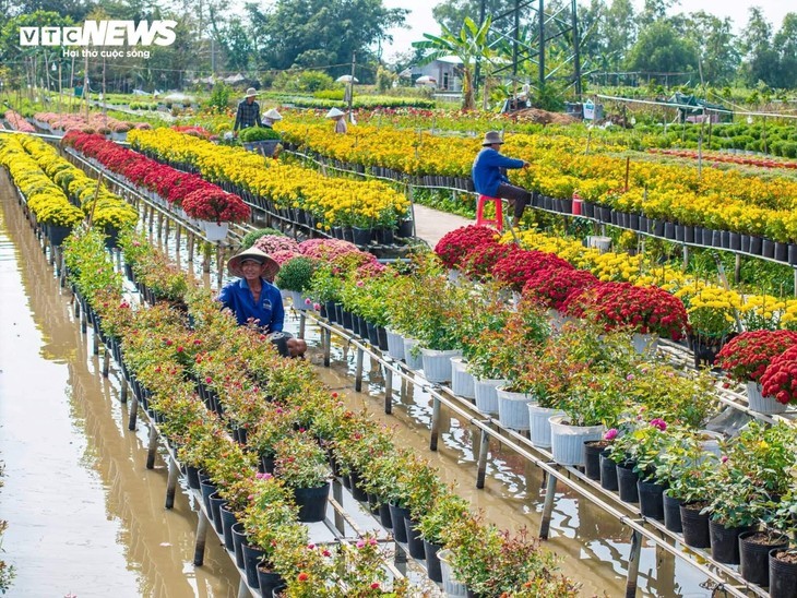 Die festliche Atmosphäre von Tet in ganz Vietnam  - ảnh 6