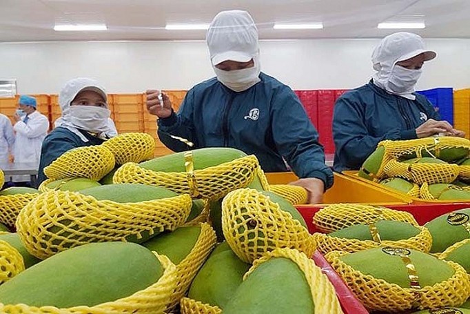  전국 수출초과액, 90억 달러 이상으로서 전년보다 상승 - ảnh 1