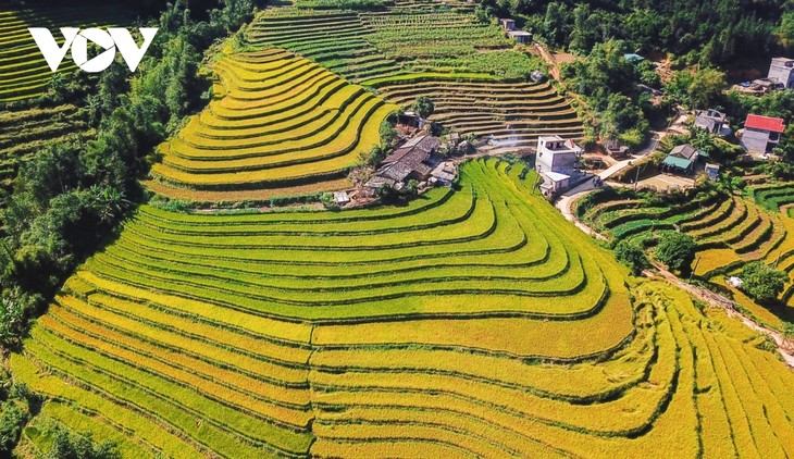 꽝닌 (Quảng Ninh)성 관광개발과 문화유산보존 - ảnh 1