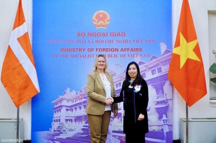 제2차 베트남-덴마크 정치 자문  - ảnh 1