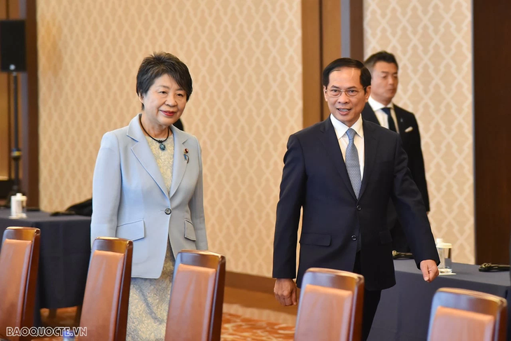 일본 공식 방문 중인 베트남 외교부 장관, 베트남-일본 협력위원회 제12차 회의 공동 주최 - ảnh 1