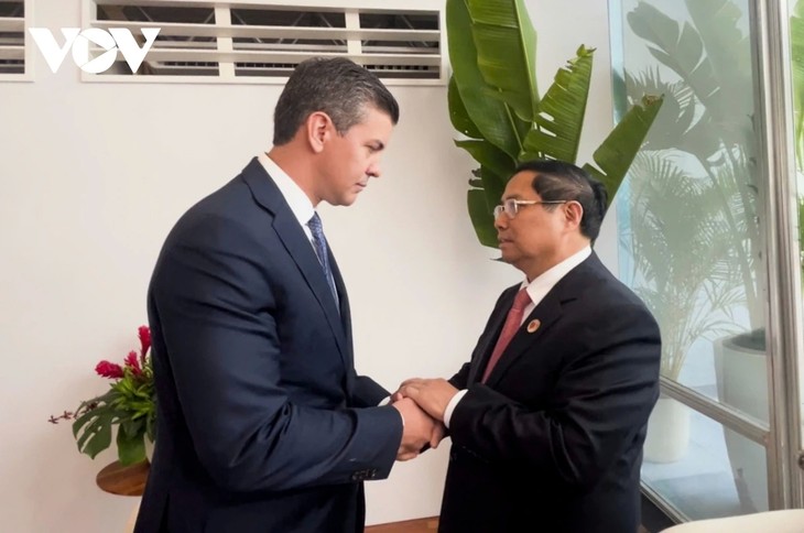 ‘G20 정상회의 참석’ 베트남, 각국‧국제기구와 관계 촉진 - ảnh 3