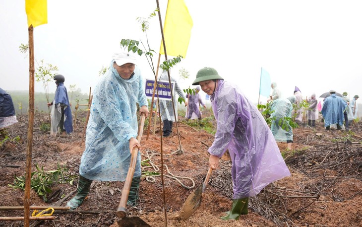 후에 유적 복원 원자재 확보 위해 대규모 조림 사업 모델 구축 - ảnh 1