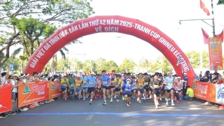 약 1천명의 운동선수, 부온마투옷 승리 50주년 기념 마라톤 대회에 참석 - ảnh 1