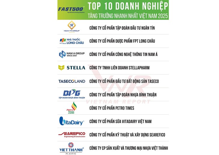 2025년 베트남에서 가장 빠르게 성장하는 기업 TOP 500  - ảnh 1