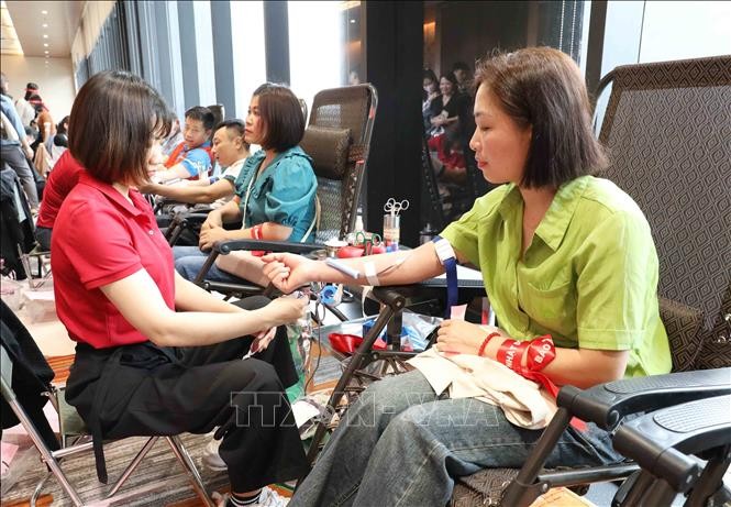 푸토성의 ‘붉은 일요일’ 헌혈 행사, 약 800혈액 단위 접수 - ảnh 1