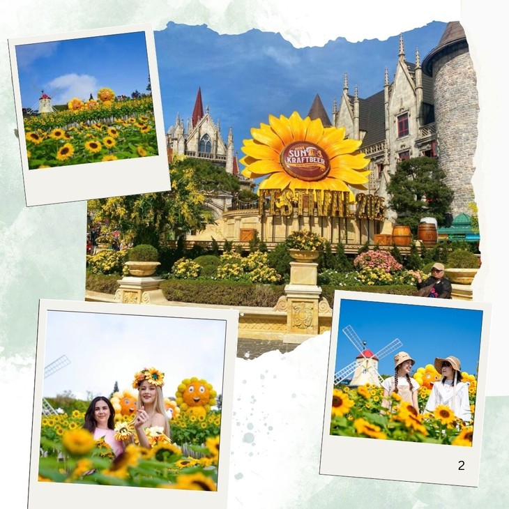 노란빛으로 가득한 ‘바나힐 해바라기 페스티벌’ - ảnh 2