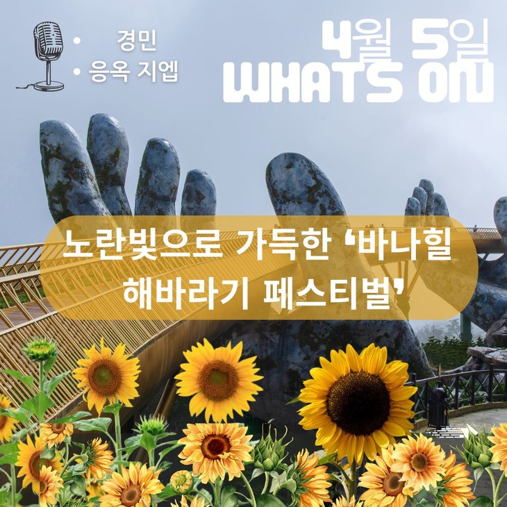 노란빛으로 가득한 ‘바나힐 해바라기 페스티벌’ - ảnh 1