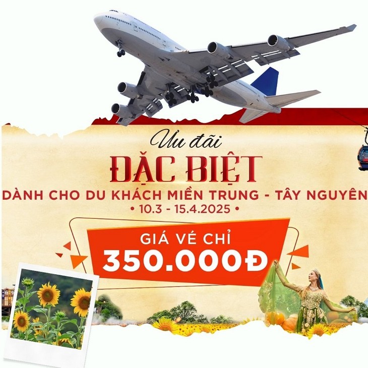 노란빛으로 가득한 ‘바나힐 해바라기 페스티벌’ - ảnh 3