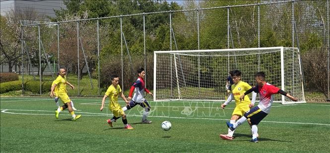 스포츠 통해 재한 베트남 공동체 단결 강화 - ảnh 1