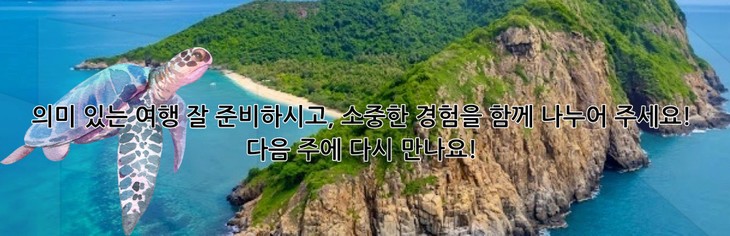 꼰다오 아기 거북이 방류 체험 - ảnh 4