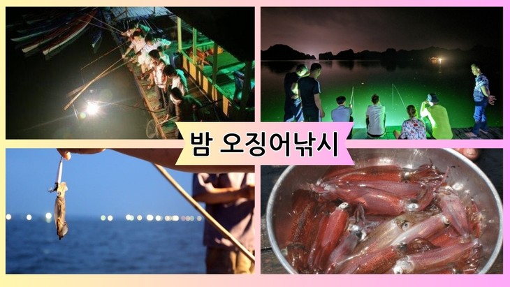 깟바섬 야간 일정: 꼭 해 봐야 할 인기 액티비티 - ảnh 2