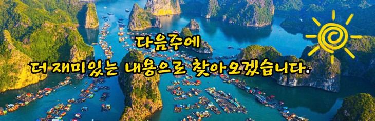 깟바섬 야간 일정: 꼭 해 봐야 할 인기 액티비티 - ảnh 5