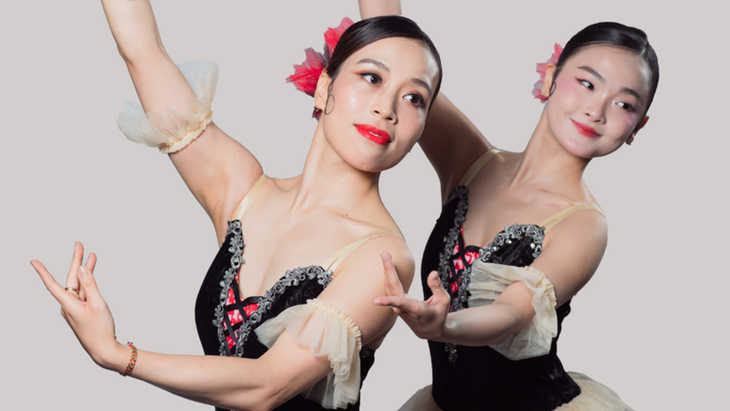 하노이 호그엄극장, ‘돈키호테’ 발레 첫 선보여 - ảnh 1